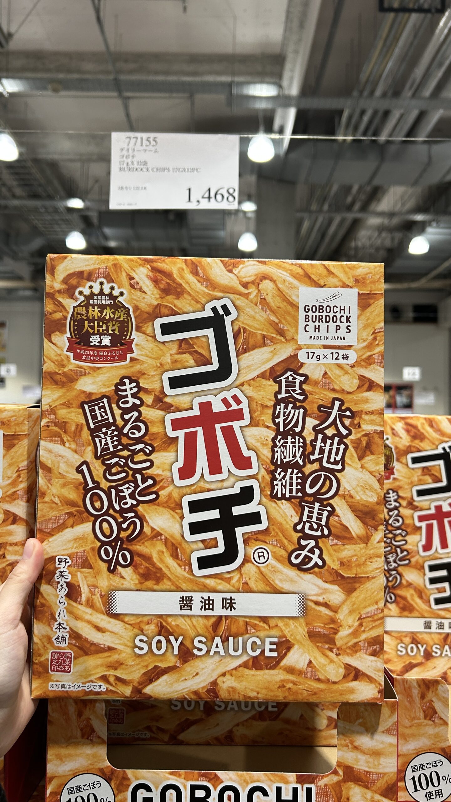 BURDOCK CHIPS 17GX12PC